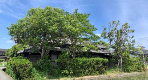 無料査定実施中